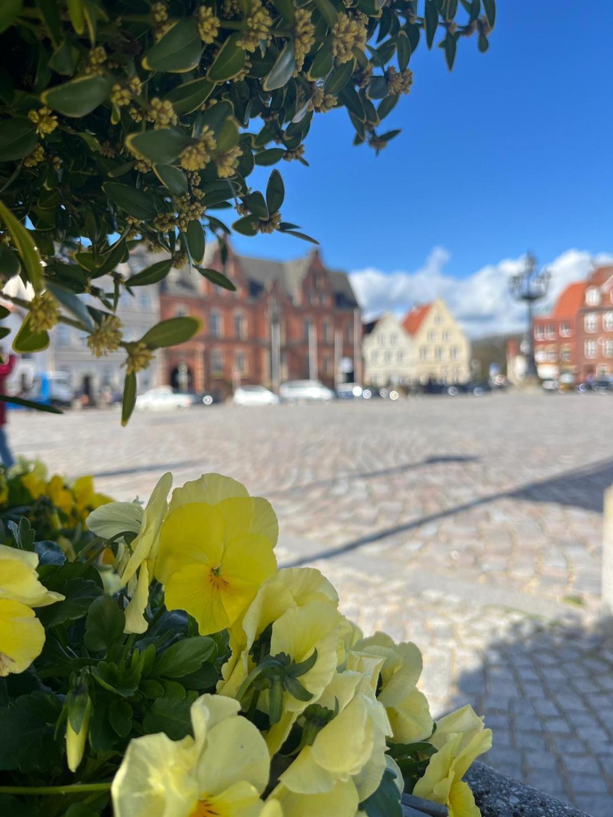 Lykkefund - Ferienwohnungen In Hafennaehe Glückstadt 外观 照片